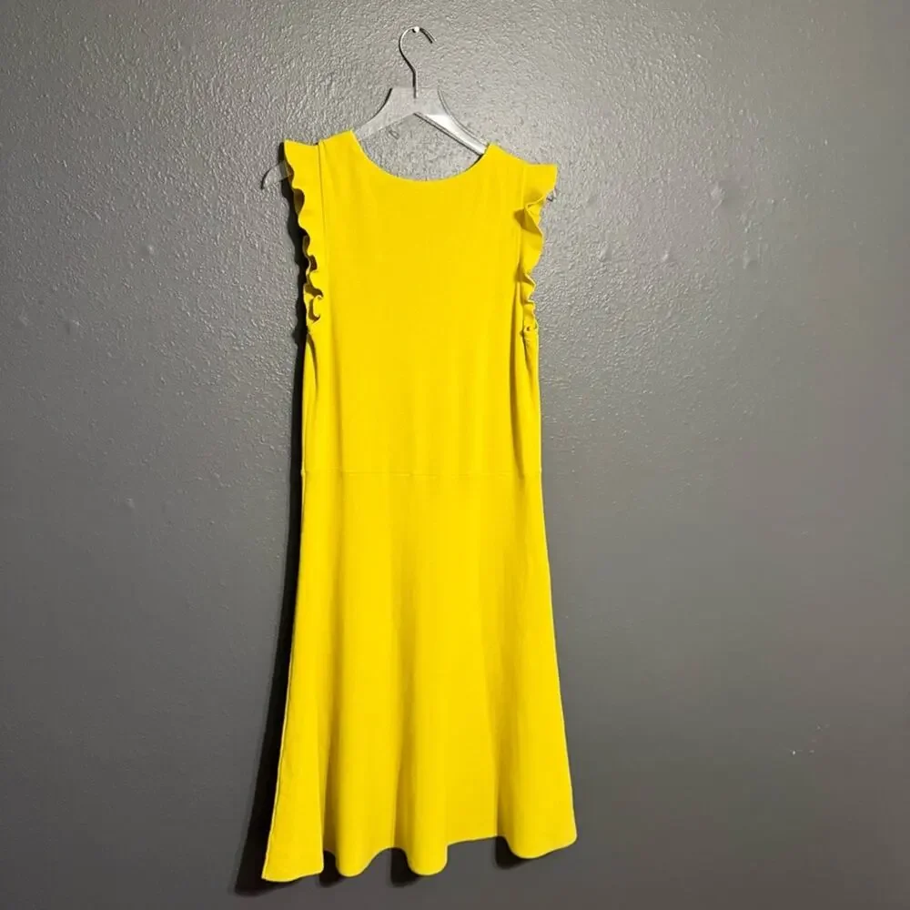 Ann Taylor NWT Ruffle Sleeve Midi Dress Size LT